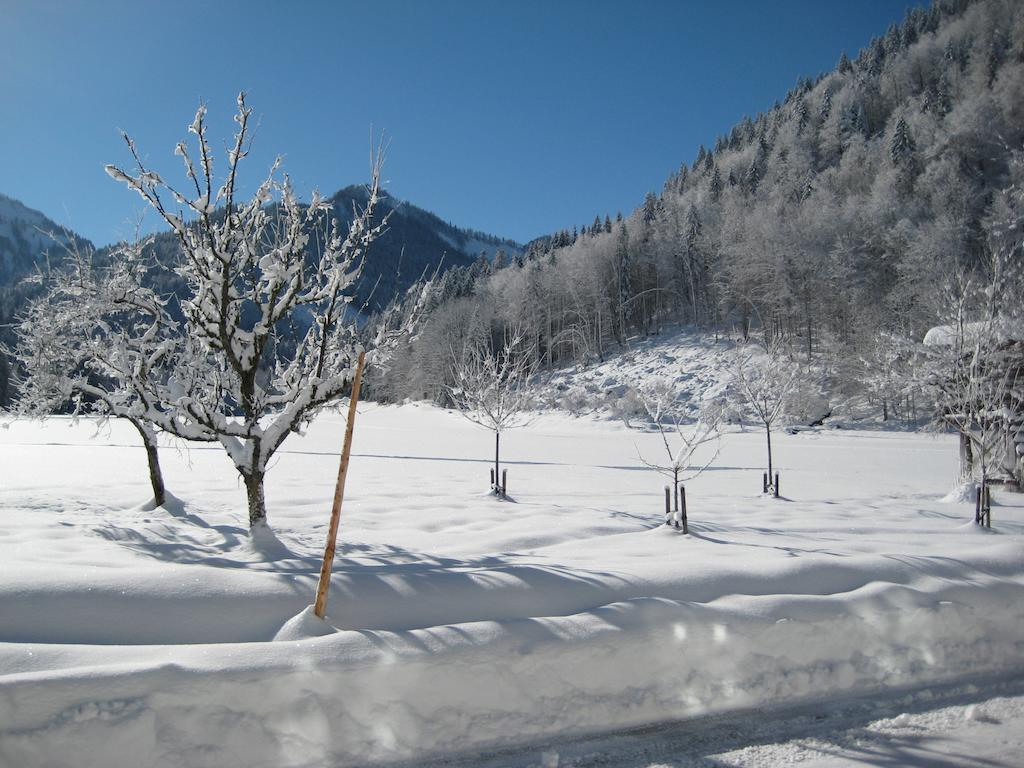 Biobauernhof Hauserbauer Hintersee Exterior foto